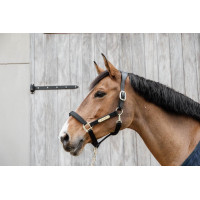 Licol Anatomique Nylon Kentucky Noir