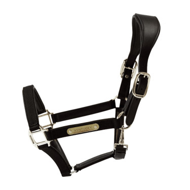 Licol Anatomique Nylon Kentucky Noir