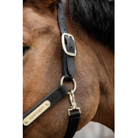 Licol Anatomique Nylon Kentucky Noir Licol Anatomique Nylon Kentucky Noir
