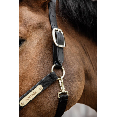 Licol Anatomique Nylon Kentucky Licol Anatomique Nylon Kentucky
