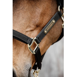 Licol Anatomique Nylon Kentucky Noir