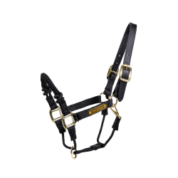 Licol de controle Kentucky Noir Licol de controle Kentucky Noir