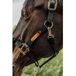 Licol de controle Kentucky Noir Licol de controle Kentucky Noir