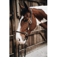 Licol de Pansage en cuir Kentucky Marron