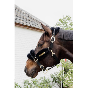 Licol Nylon mouton Soft Kentucky Licol Nylon mouton Soft Kentucky