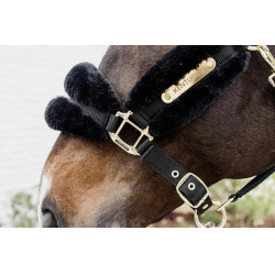 Licol Nylon mouton Soft Kentucky Noir Licol Nylon mouton Soft Kentucky Noir