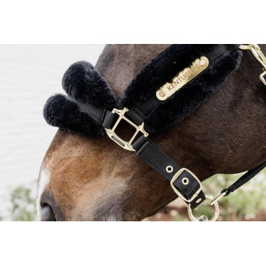 Licol Nylon mouton Soft Kentucky Licol Nylon mouton Soft Kentucky