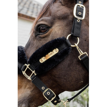 Licol Nylon mouton Soft Kentucky Licol Nylon mouton Soft Kentucky