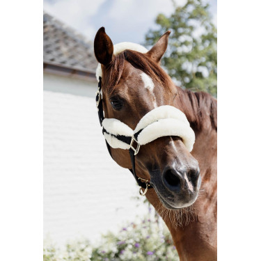 Licol Nylon mouton Soft Kentucky Licol Nylon mouton Soft Kentucky