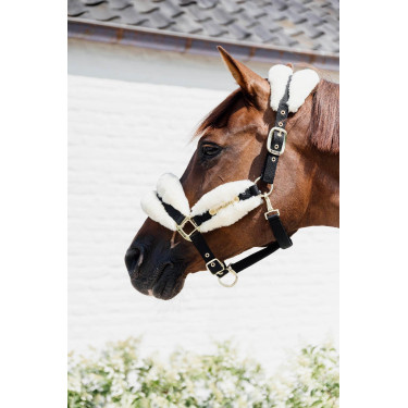 Licol Nylon mouton Soft Kentucky Licol Nylon mouton Soft Kentucky