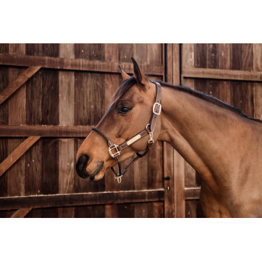 Licol Rope en cuir Kentucky Licol Rope en cuir Kentucky