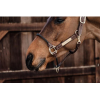 Licol Rope en cuir Kentucky Marron Licol Rope en cuir Kentucky Marron