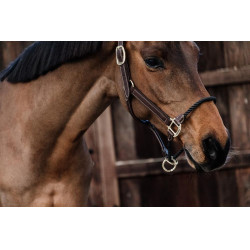 Licol Rope en cuir Kentucky Marron