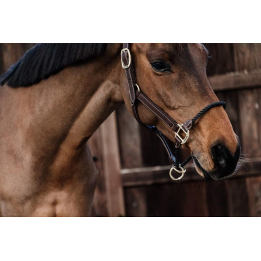 Licol Rope en cuir Kentucky Licol Rope en cuir Kentucky