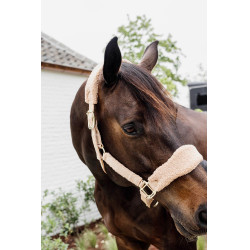 Licol Teddy Fleece Kentucky Beige