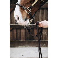 Longe Loop Basic Kentucky Noir Longe Loop Basic Kentucky Noir