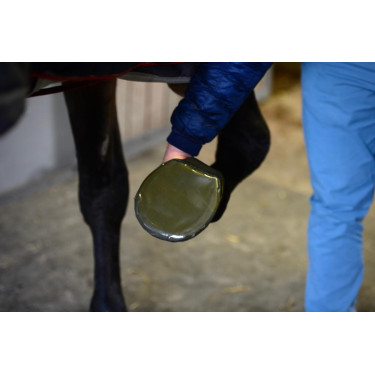 Protection sabot Kentucky Protection sabot Kentucky