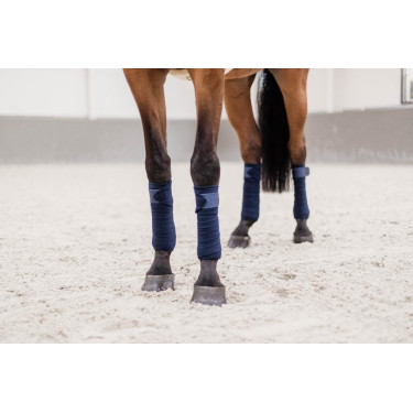 Bandes de polo Polar Fleece Glitter Kentucky Bandes de polo Polar Fleece Glitter Kentucky