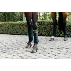 Bandes de polo Polar Fleece Kentucky Vert sapin Bandes de polo Polar Fleece Kentucky Vert sapin