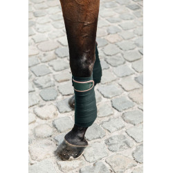 Bandes de polo Polar Fleece Kentucky Vert sapin Bandes de polo Polar Fleece Kentucky Vert sapin