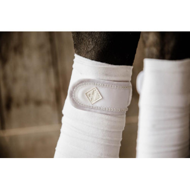 Bandes de polo Polar Fleece Pearls Kentucky Bandes de polo Polar Fleece Pearls Kentucky