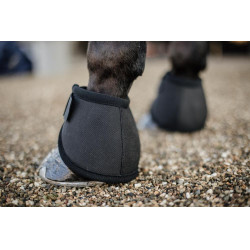 Cloches protège-glomes Kentucky Noir Cloches protège-glomes Kentucky Noir