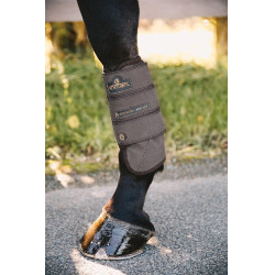 Guêtre Air Tech Eventing antérieures Kentucky Marron Guêtre Air Tech Eventing antérieures Kentucky Marron