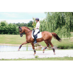 Guêtres fermées Cuir antérieures Kentucky Marron