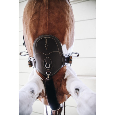 Sangle bavette courte Kentucky Sangle bavette courte Kentucky