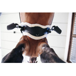 Sangle Anatomique courte mouton Kentucky Noir