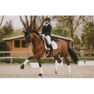 Sangle mouton courte Kentucky Sangle mouton courte Kentucky