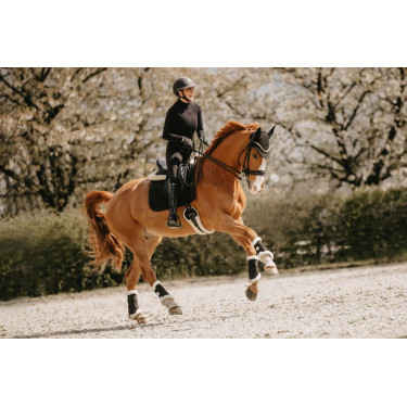 Sangle mouton courte Kentucky Sangle mouton courte Kentucky