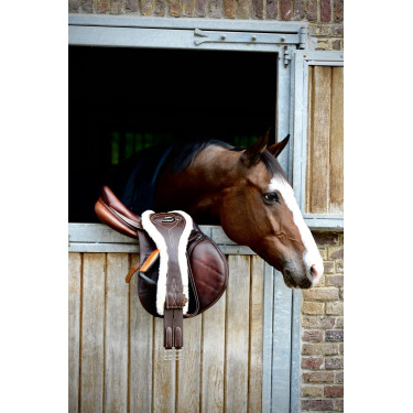 Sangle Anatomique mouton Kentucky Marron