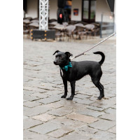 Noeud Papillon Velvet Kentucky Emeraude Vert Noeud Papillon Velvet Kentucky Emeraude Vert