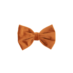 Noeud Papillon Velvet Kentucky Orange Noeud Papillon Velvet Kentucky Orange