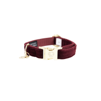 Collier pour chien Corduroy Kentucky Bordeaux Collier pour chien Corduroy Kentucky Bordeaux