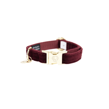 Collier pour chien Corduroy Kentucky Collier pour chien Corduroy Kentucky