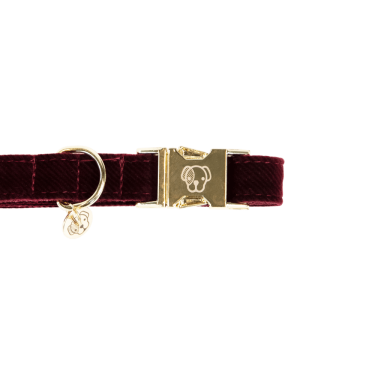 Collier pour chien Corduroy Kentucky Collier pour chien Corduroy Kentucky
