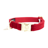 Collier pour chien Corduroy Kentucky Bordeaux