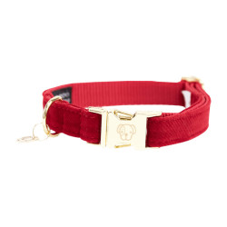 Collier pour chien Corduroy Kentucky Rouge