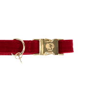 Collier pour chien Corduroy Kentucky Bordeaux