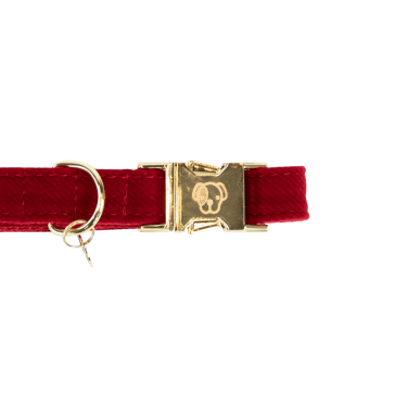 Collier pour chien Corduroy Kentucky Rouge Collier pour chien Corduroy Kentucky Rouge