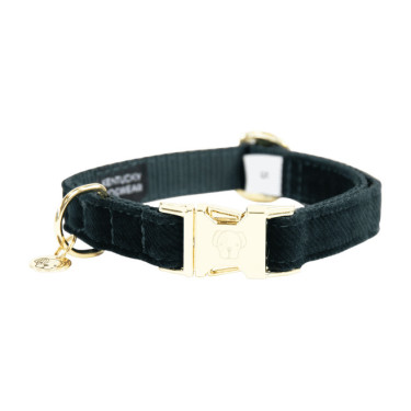 Collier pour chien Corduroy Kentucky Vert sapin Collier pour chien Corduroy Kentucky Vert sapin