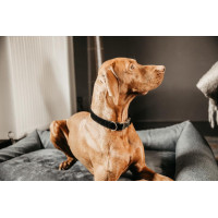 Collier pour chien Corduroy Kentucky Noir
