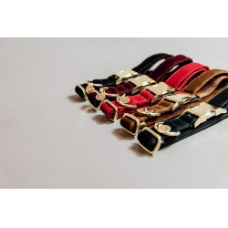 Collier pour chien Corduroy Kentucky Noir Collier pour chien Corduroy Kentucky Noir