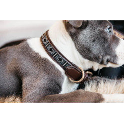 Collier pour chien en Perles faites-main Kentucky Argent Collier pour chien en Perles faites-main Kentucky Argent