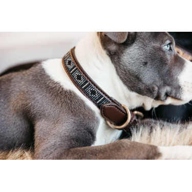 Collier pour chien en Perles faites-main Kentucky Collier pour chien en Perles faites-main Kentucky