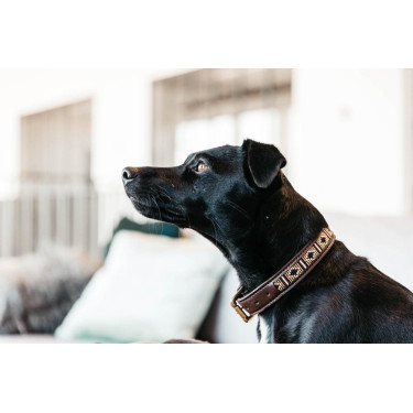 Collier pour chien en Perles faites-main Kentucky Collier pour chien en Perles faites-main Kentucky
