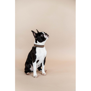 Collier pour chien en Perles faites-main Kentucky Collier pour chien en Perles faites-main Kentucky