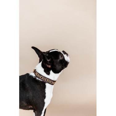 Collier pour chien en Perles faites-main Kentucky Collier pour chien en Perles faites-main Kentucky